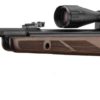 carabine-gamo-hunter-440-as