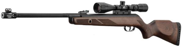 carabine-gamo-hunter-440-as